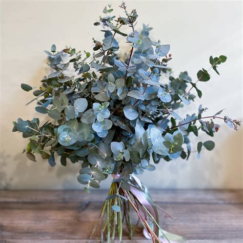 Fotografía Eucalipto