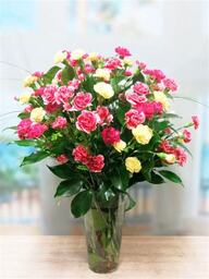 Fotografía Clavellinas